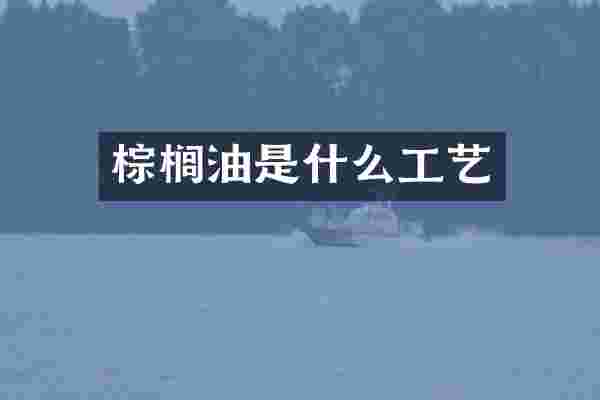 棕榈油是什么工艺