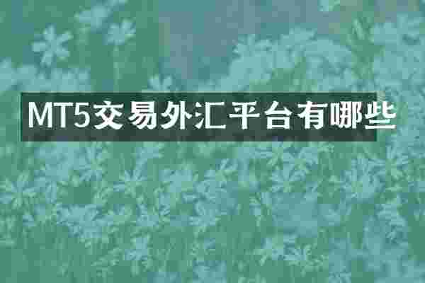 MT5交易外汇平台有哪些