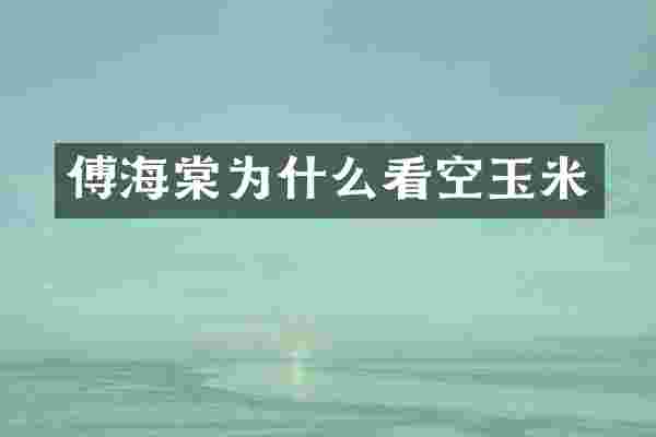 傅海棠为什么看空玉米