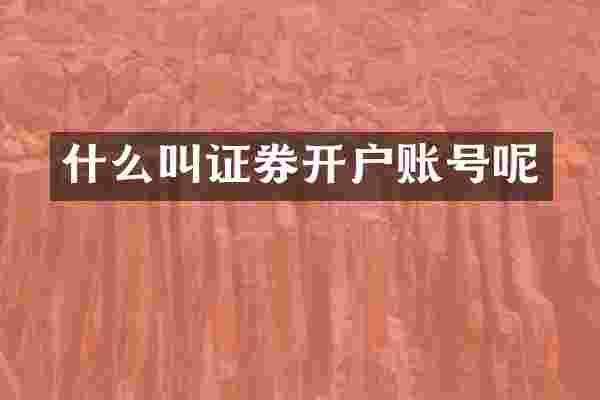 什么叫证券开户账号呢