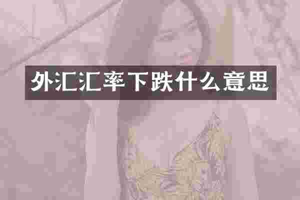 外汇汇率下跌什么意思