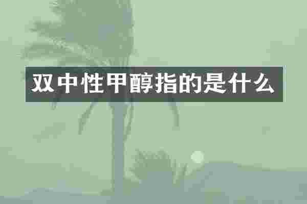 双中性甲醇指的是什么
