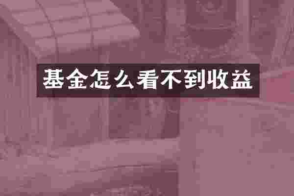 基金怎么看不到收益
