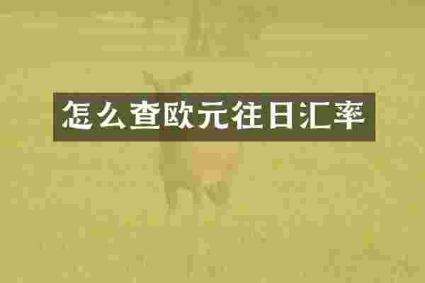 怎么查欧元往日汇率