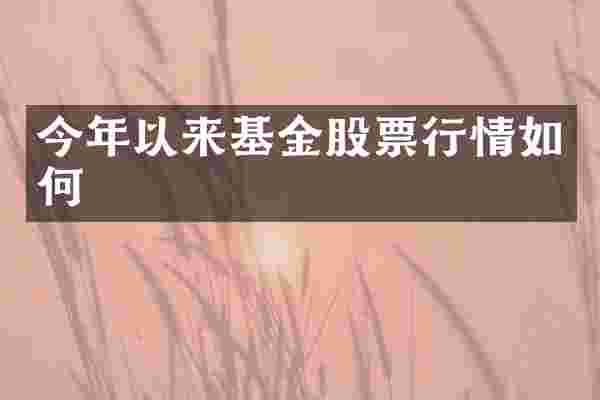 今年以来基金股票行情如何