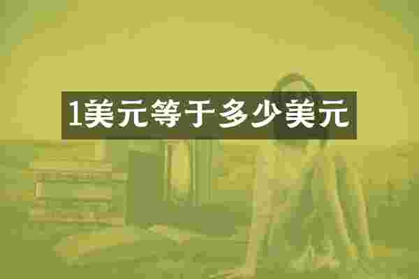 1美元等于多少美元