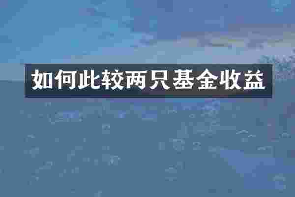 如何此较两只基金收益