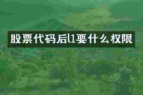 股票代码后l1要什么权限