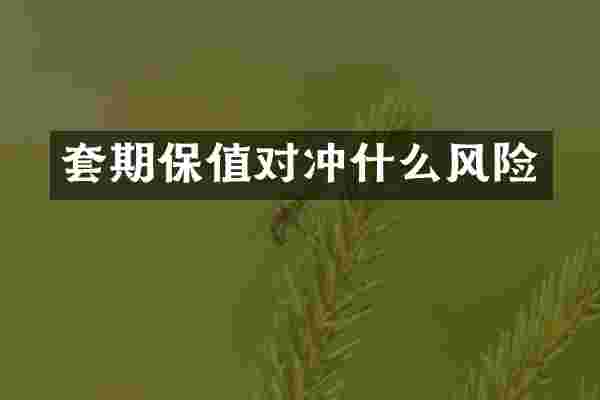 套期保值对冲什么风险