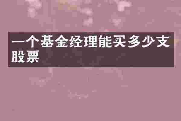 一个基金经理能买多少支股票