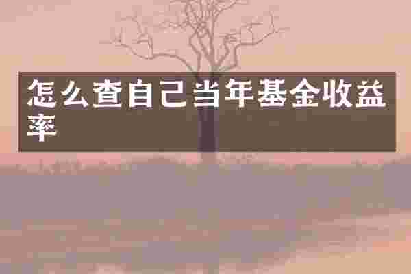 怎么查自己当年基金收益率