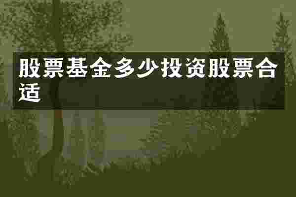 股票基金多少投资股票合适