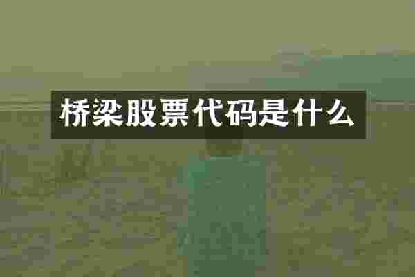 桥梁股票代码是什么