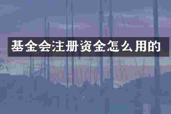 基金会注册资金怎么用的