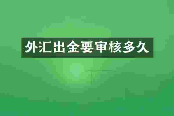 外汇出金要审核多久