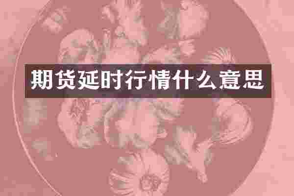 期货延时行情什么意思