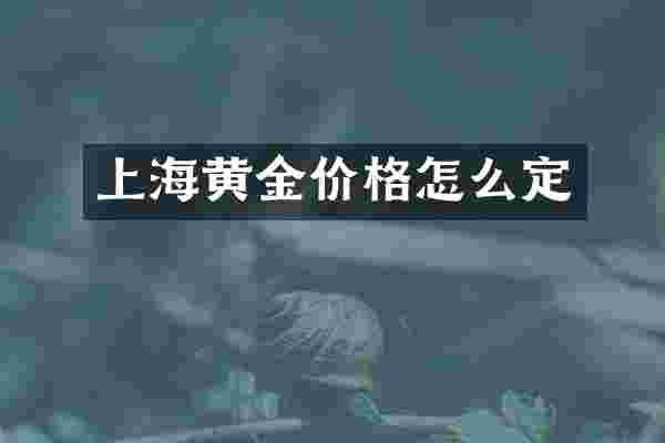 上海黄金价格怎么定