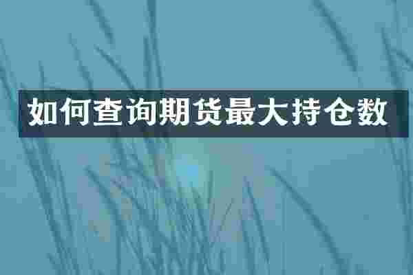 如何查询期货最大持仓数