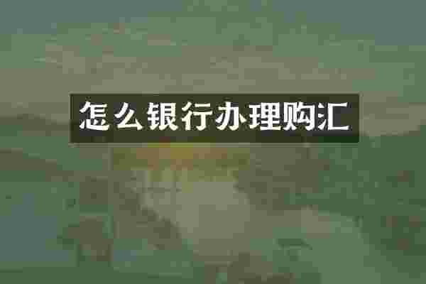 怎么银行办理购汇