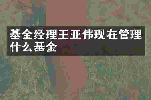 基金经理王亚伟现在管理什么基金