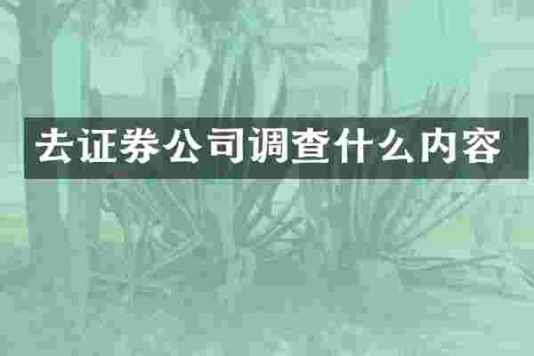去证券公司调查什么内容