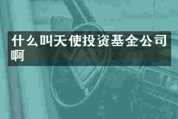 什么叫天使投资基金公司啊