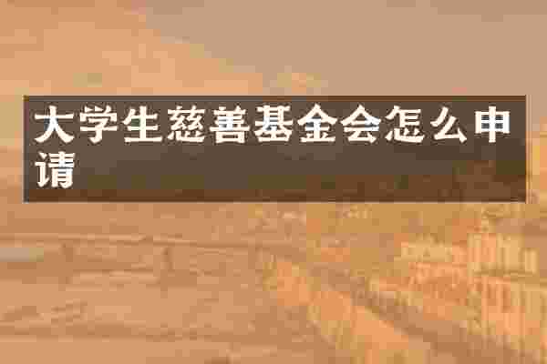 大学生慈善基金会怎么申请