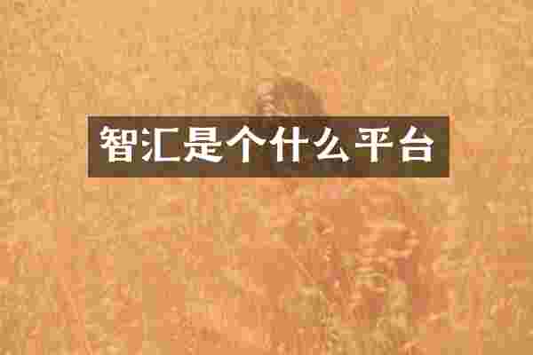 智汇是个什么平台