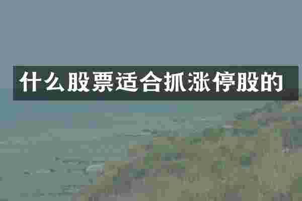 什么股票适合抓涨停股的