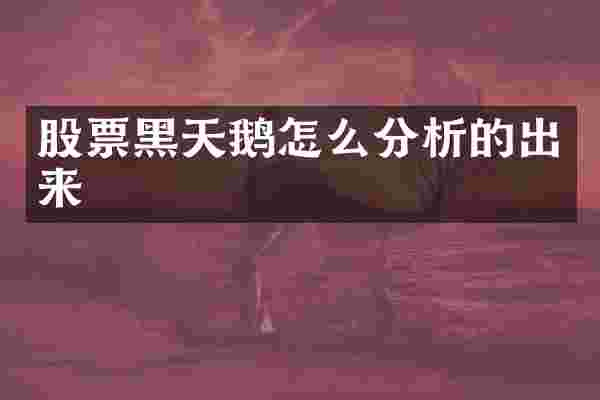 股票黑天鹅怎么分析的出来