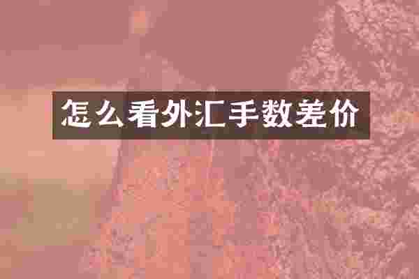 怎么看外汇手数差价