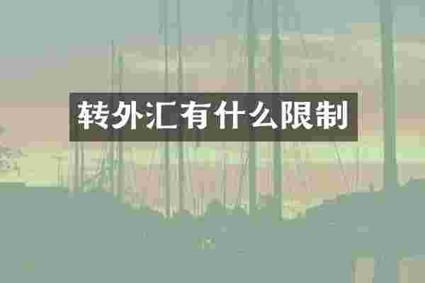 转外汇有什么限制