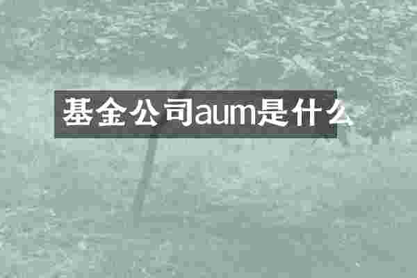 基金公司aum是什么