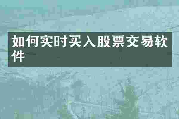 如何实时买入股票交易软件