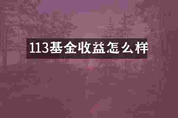 113基金收益怎么样