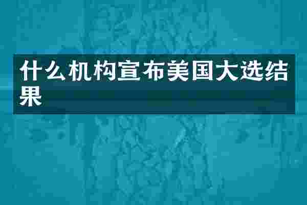 什么机构宣布美国大选结果