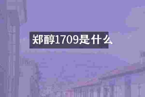 郑醇1709是什么