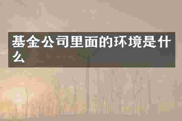 基金公司里面的环境是什么