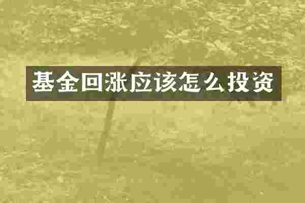 基金回涨应该怎么投资
