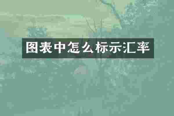 图表中怎么标示汇率