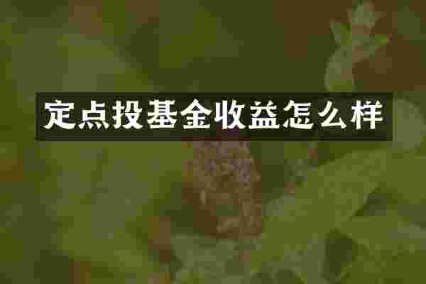 定点投基金收益怎么样