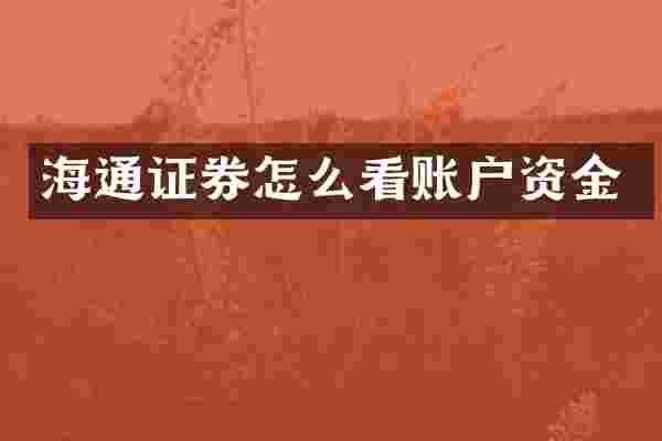 海通证券怎么看账户资金