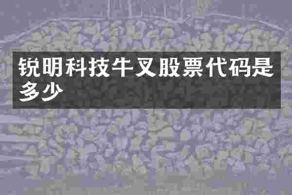 锐明科技牛叉股票代码是多少