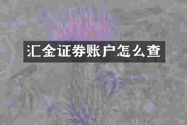 汇金证券账户怎么查