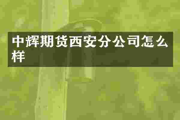 中辉期货西安分公司怎么样