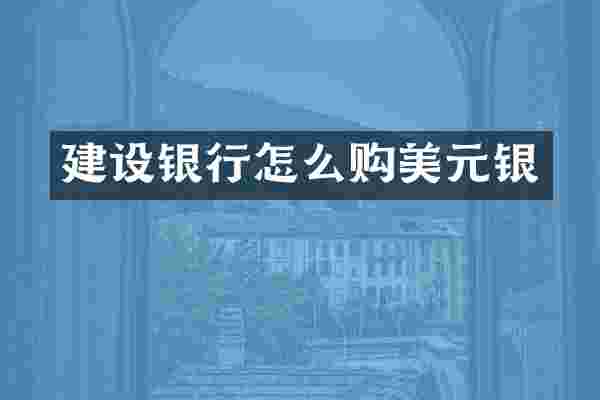 建设银行怎么购美元银