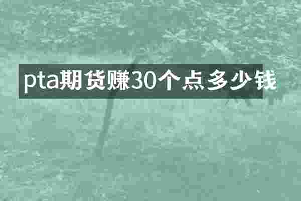 pta期货赚30个点多少钱