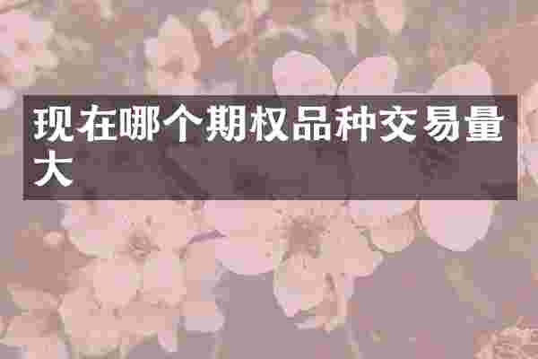 现在哪个期权品种交易量大
