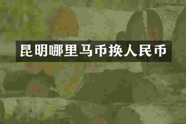昆明哪里马币换人民币