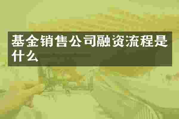 基金销售公司融资流程是什么